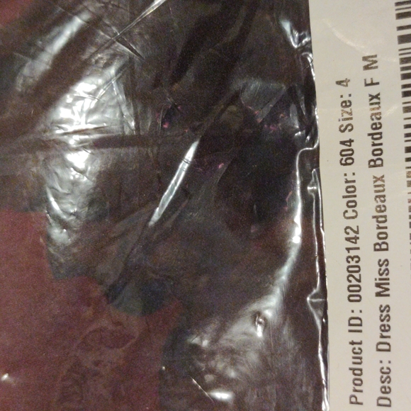 City Chic Floral Maxi Dress - Burgundy and Blue - Picture 6 of 6